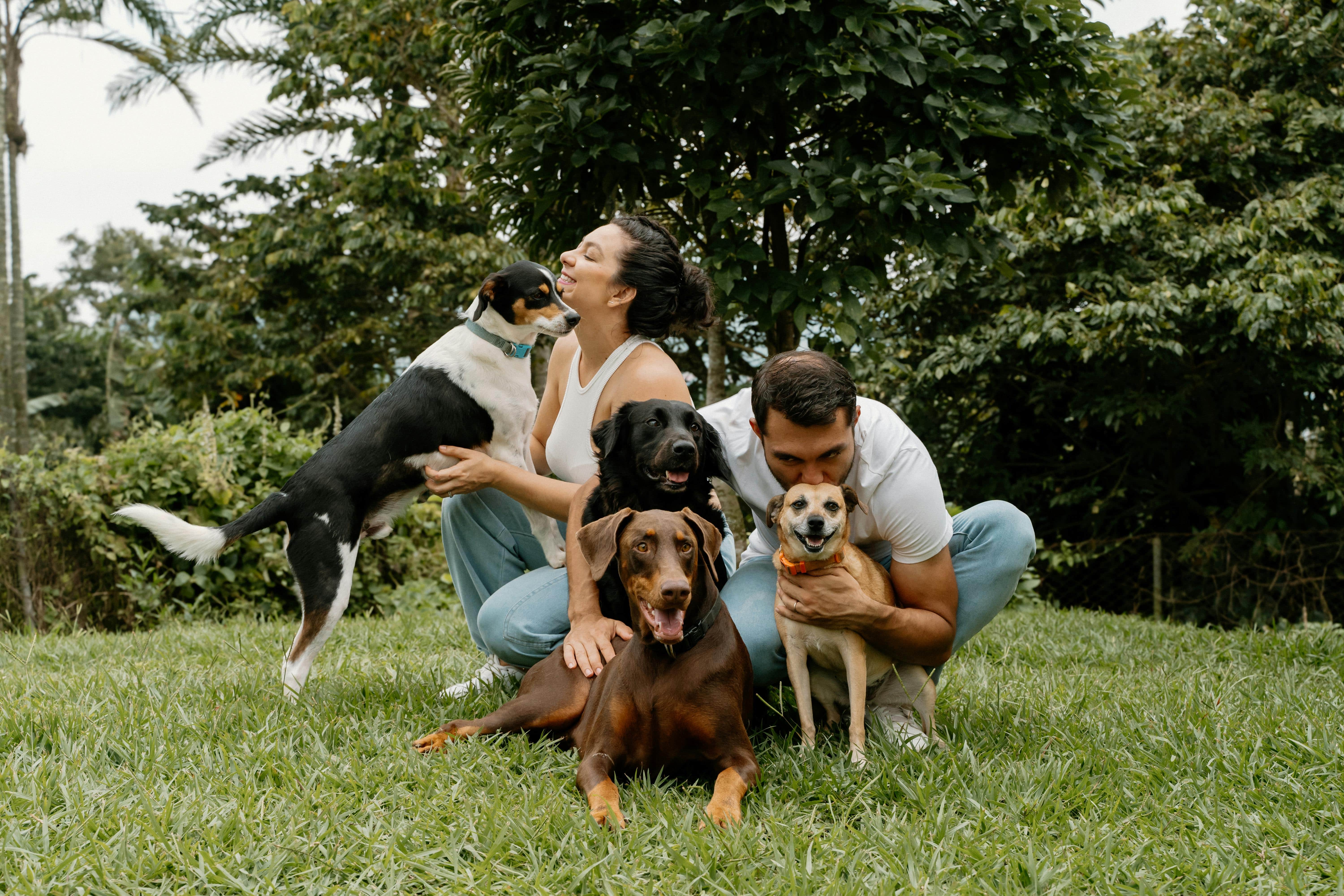 Dog, cat, and other pets together in a family setting