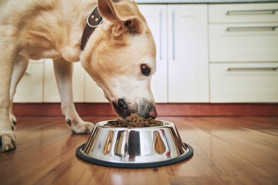 Croquettes naturelles pour chien